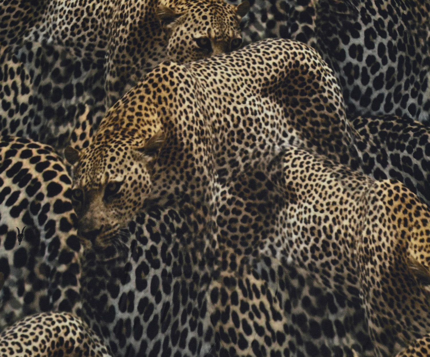 LEOPAR DESENLİ VİSKON SATEN KUMAŞ - KAMEL